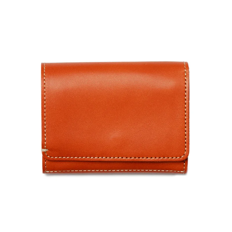 Diario Clutch Purse